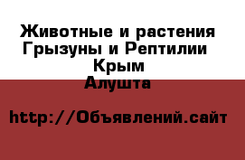 Животные и растения Грызуны и Рептилии. Крым,Алушта